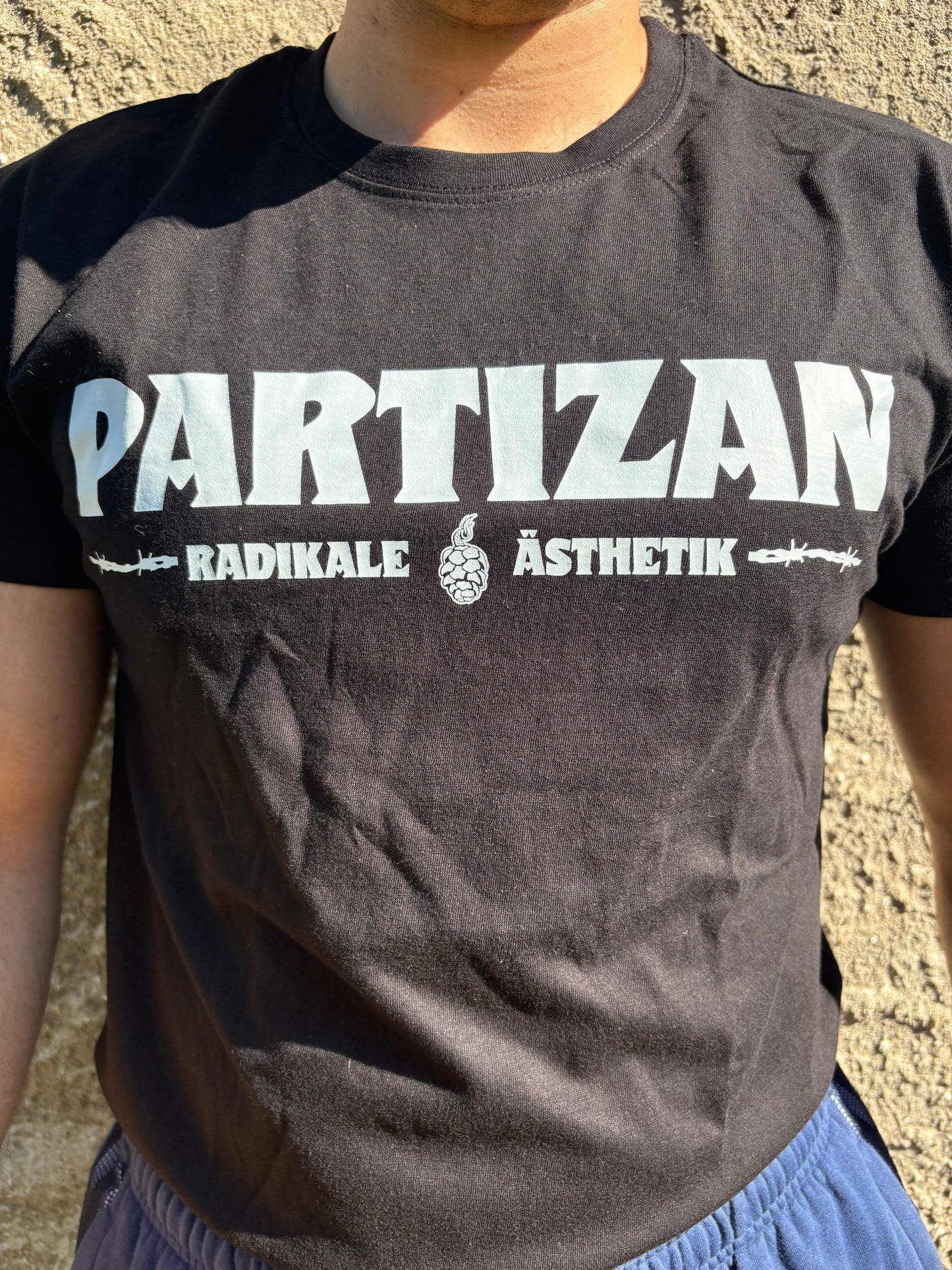 Partizan Nikki - Kohle
