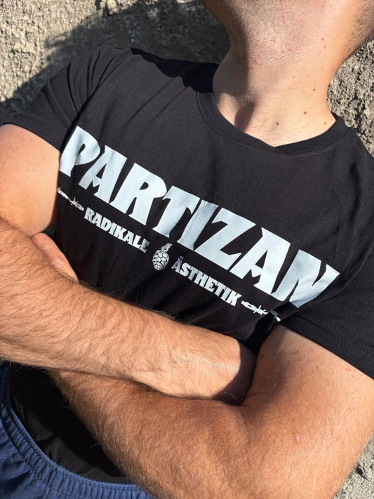 Partizan Nikki - Kohle