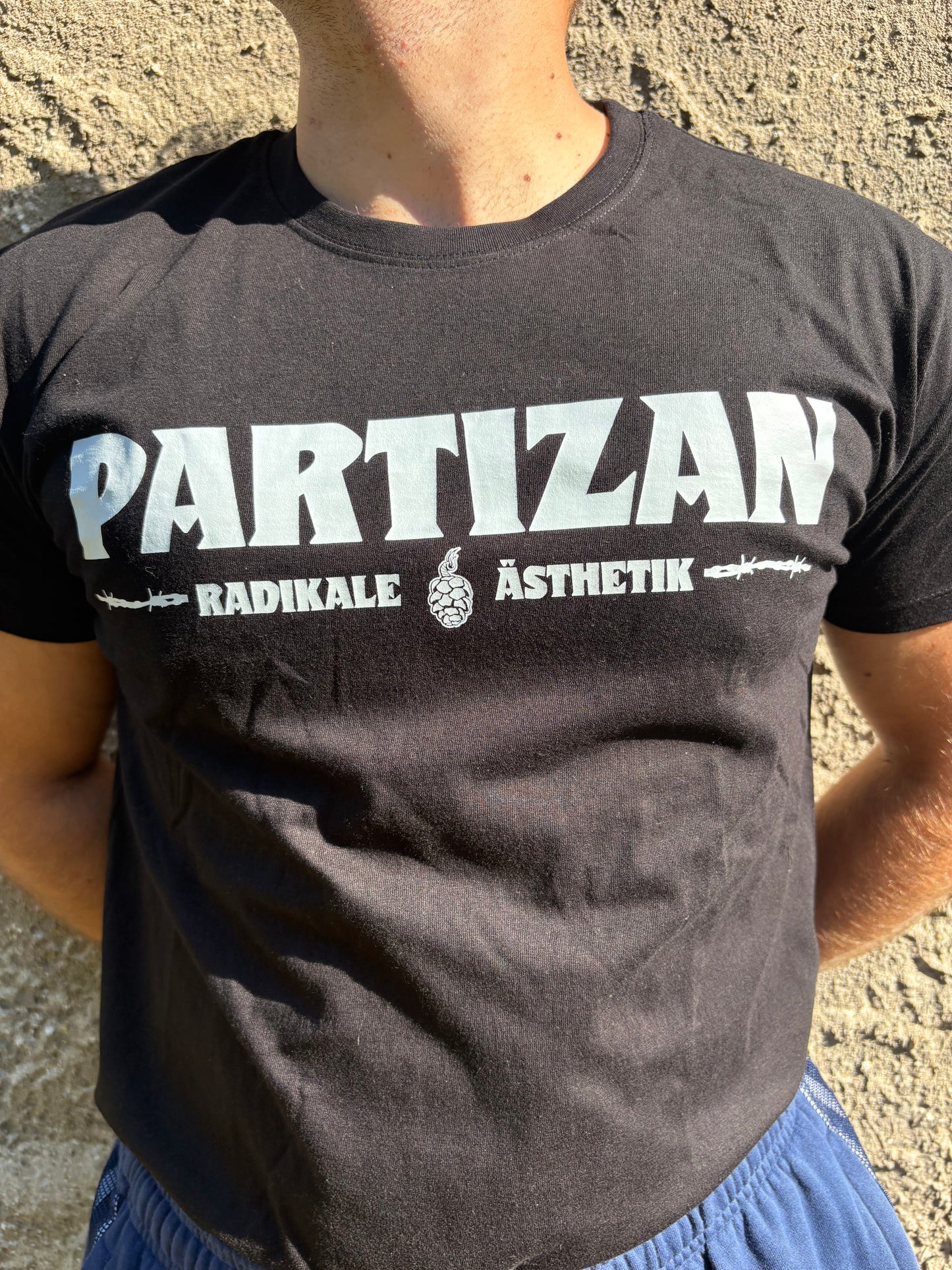 Partizan Nikki - Kohle
