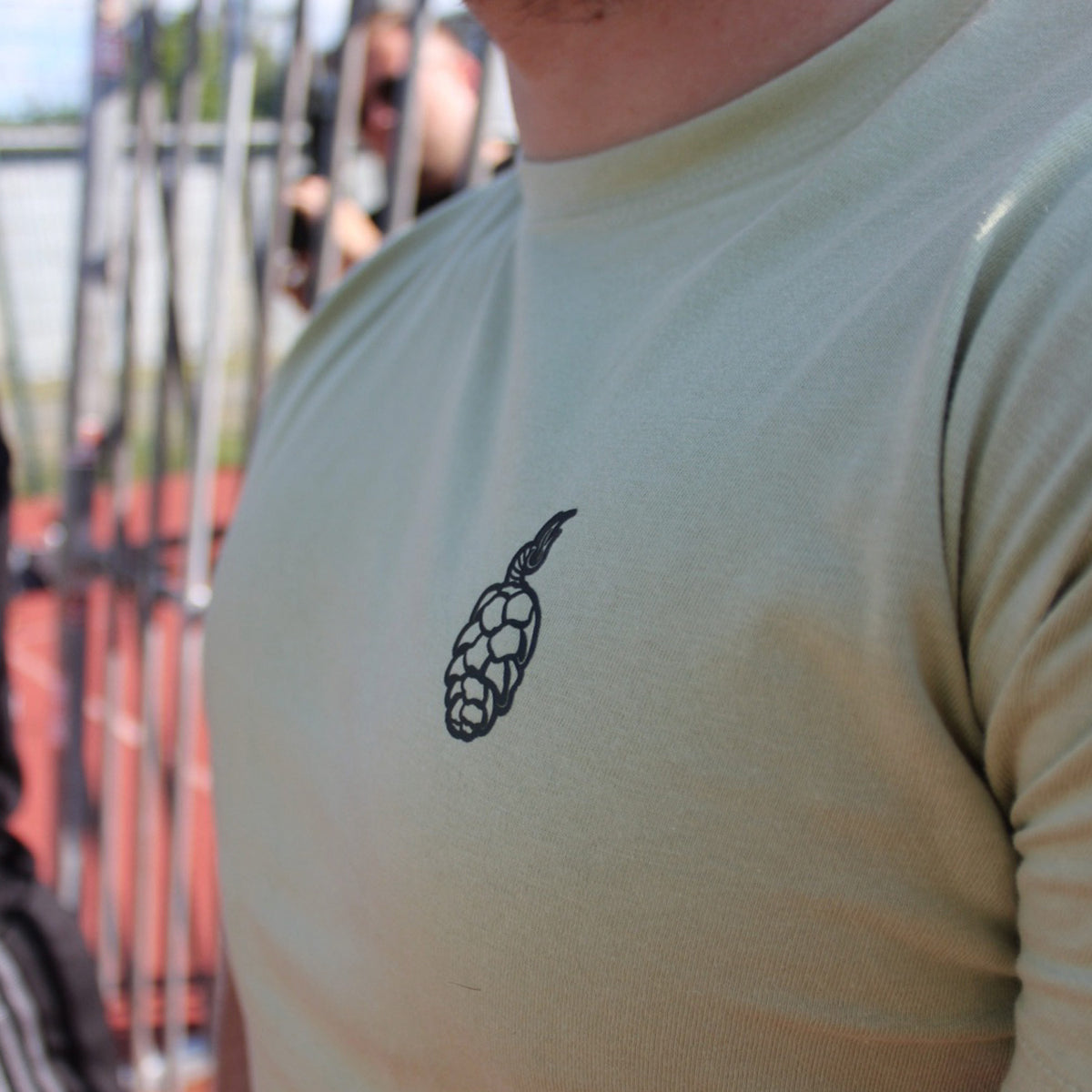 Wolfshund Nikki - Pistazie